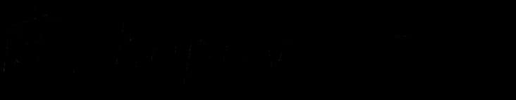 Shopify Partners